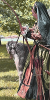 Renaissance Fair archery