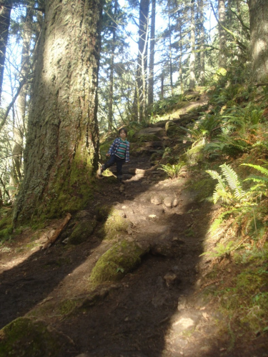 a boy hiking up a steep hill